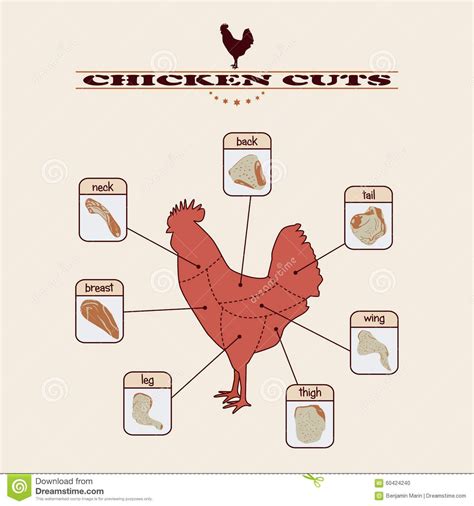what are the 4 wholesale cuts of a poultry meat